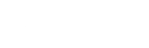 Actualize Store